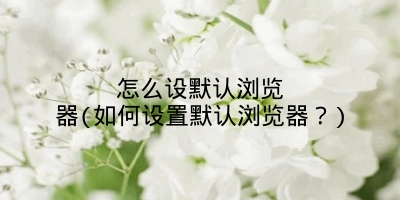 怎么设默认浏览器(如何设置默认浏览器?)