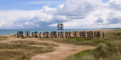 佳偶天成(佳偶成就天赐姻缘)