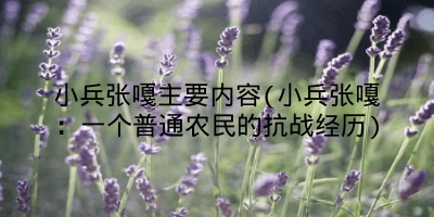 小兵张嘎主要内容(小兵张嘎：一个普通农民的抗战经历)