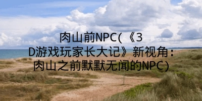 肉山前NPC(《3D游戏玩家长大记》新视角:肉山之前默默无闻的NPC)
