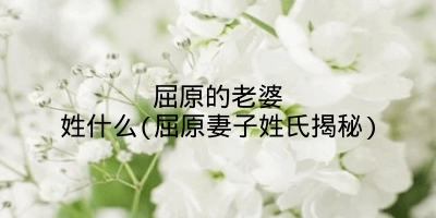 屈原的老婆姓什么(屈原妻子姓氏揭秘)