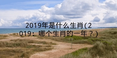 2019年是什么生肖(2019:哪个生肖的一年?)