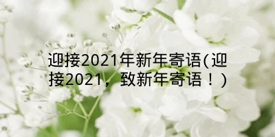 迎接2021年新年寄语(迎接2021,致新年寄语!)