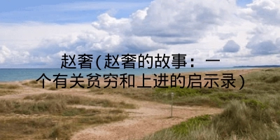 赵奢(赵奢的故事:一个有关贫穷和上进的启示录)