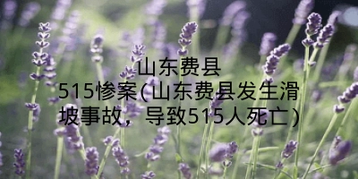 山东费县515惨案(山东费县发生滑坡事故,导致515人死亡)