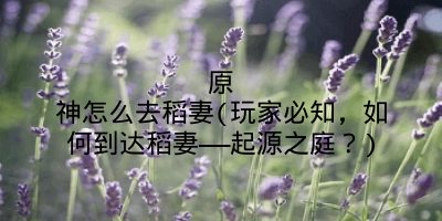 原神怎么去稻妻(玩家必知,如何到达稻妻——起源之庭?)
