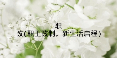 职改(职工改制，新生活启程)