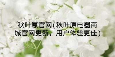 秋叶原官网(秋叶原电器商城官网更新,用户体验更佳)