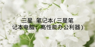 三星 笔记本(三星笔记本电脑：高性能办公利器)