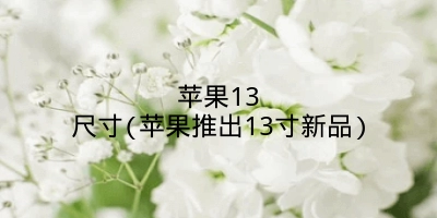 苹果13尺寸(苹果推出13寸新品)