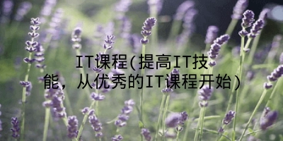 IT课程(提高IT技能,从优秀的IT课程开始)