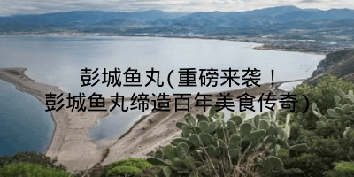 彭城鱼丸(重磅来袭!彭城鱼丸缔造百年美食传奇)