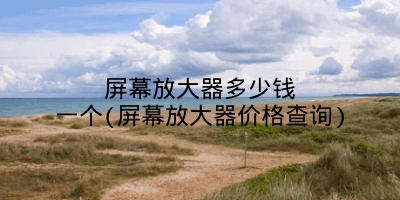 屏幕放大器多少钱一个(屏幕放大器价格查询)