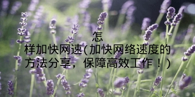 怎样加快网速(加快网络速度的方法分享,保障高效工作!)