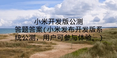 小米开发版公测答题答案(小米发布开发版系统公测,用户可参与体验。)