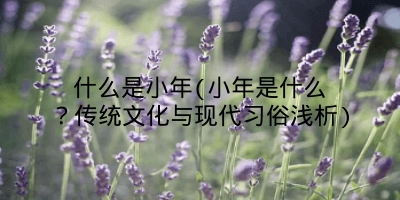 什么是小年(小年是什么?传统文化与现代习俗浅析)