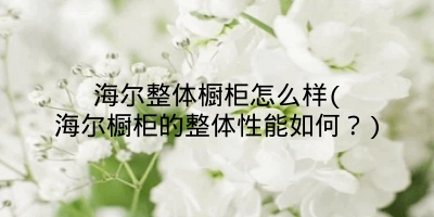 海尔整体橱柜怎么样(海尔橱柜的整体性能如何？)