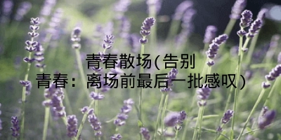 青春散场(告别青春:离场前最后一批感叹)