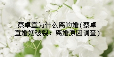 蔡卓宜为什么离的婚(蔡卓宜婚姻破裂：离婚原因调查)