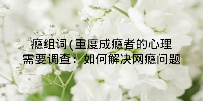 瘾组词(重度成瘾者的心理需要调查:如何解决网瘾问题
