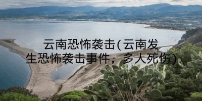 云南恐怖袭击(云南发生恐怖袭击事件,多人死伤)