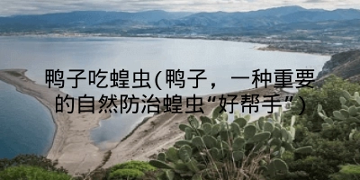 鸭子吃蝗虫(鸭子,一种重要的自然防治蝗虫“好帮手”)