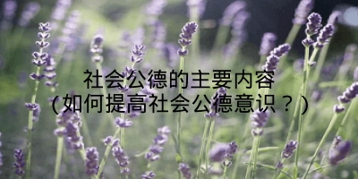 社会公德的主要内容(如何提高社会公德意识?)