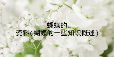 蝴蝶的资料(蝴蝶的一些知识概述)
