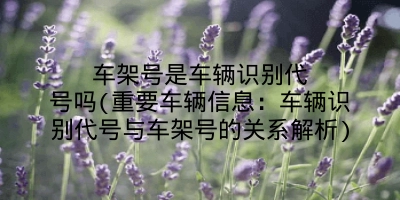 车架号是车辆识别代号吗(重要车辆信息:车辆识别代号与车架号的关系解析)