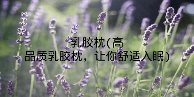 乳胶枕(高品质乳胶枕,让你舒适入眠)