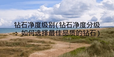 钻石净度级别(钻石净度分级:如何选择最佳品质的钻石)