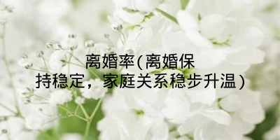 离婚率(离婚保持稳定，家庭关系稳步升温)