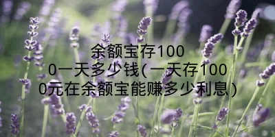 余额宝存1000一天多少钱(一天存1000元在余额宝能赚多少利息)