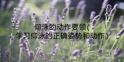 仰泳的动作要领(学习仰泳的正确姿势和动作)