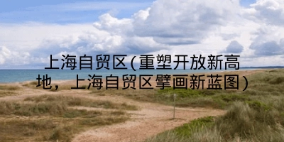 上海自贸区(重塑开放新高地,上海自贸区擘画新蓝图)