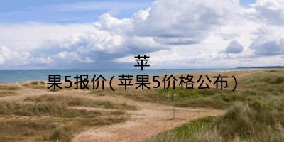 苹果5报价(苹果5价格公布)