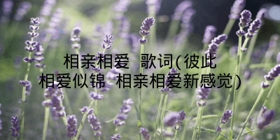 相亲相爱 歌词(彼此相爱似锦 相亲相爱新感觉)