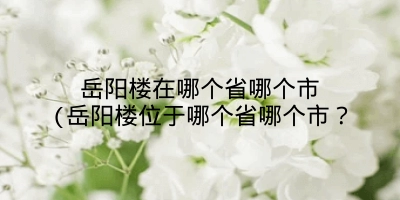 岳阳楼在哪个省哪个市(岳阳楼位于哪个省哪个市？