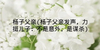 杨子父亲(杨子父亲发声,力挺儿子:不是意外,是谋杀)