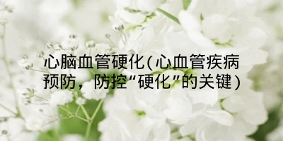 心脑血管硬化(心血管疾病预防，防控“硬化”的关键)