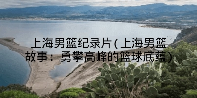 上海男篮纪录片(上海男篮故事:勇攀高峰的篮球底蕴)