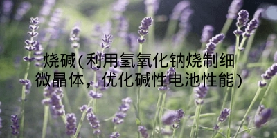 烧碱(利用氢氧化钠烧制细微晶体,优化碱性电池性能)