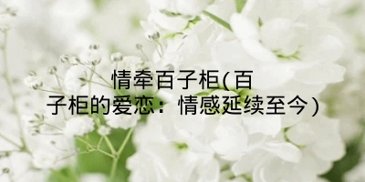情牵百子柜(百子柜的爱恋:情感延续至今)