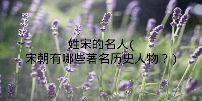 姓宋的名人(宋朝有哪些著名历史人物?)