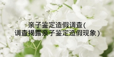 亲子鉴定造假调查(调查揭露亲子鉴定造假现象)
