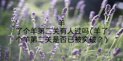 羊了个羊第二关有人过吗(羊了个羊第二关是否已被突破?)