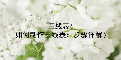 三线表(如何制作三线表:步骤详解)