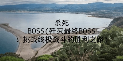 杀死BOSS(歼灭最终BOSS：挑战终极战斗的胜利之路)