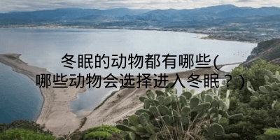 冬眠的动物都有哪些(哪些动物会选择进入冬眠?)