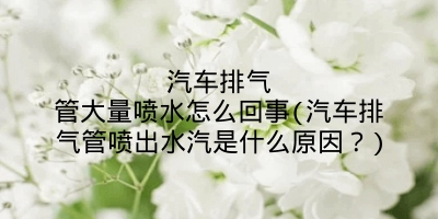 汽车排气管大量喷水怎么回事(汽车排气管喷出水汽是什么原因?)